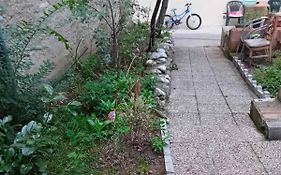 马哈拉旅馆